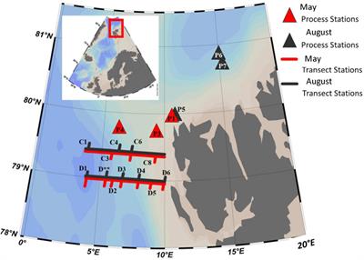 Microzooplankton Distribution and Dynamics in the Eastern Fram Strait and the Arctic Ocean in May and August 2014